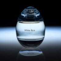 White Rice Eau de Parfum von d'Annam Parfums