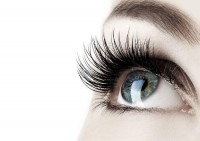 Lassen Sie die Wimpern klimpern!