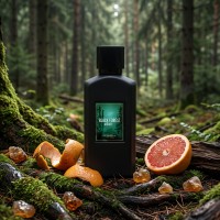 Black Forest Elixir Extrait de Parfum von Al Ambra Perfumes