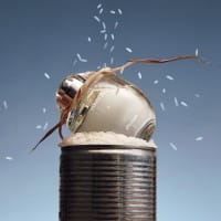 White Rice Eau de Parfum von d'Annam Parfums