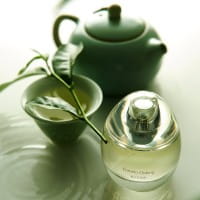 Pomelo Oolong Eau de Parfum von d'Annam Parfums