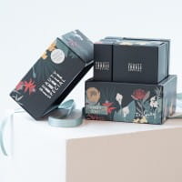 Dr. Spiller Adventskalender / Beauty Jungle Special 2025