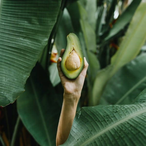 pexels-julia-volk-5769392