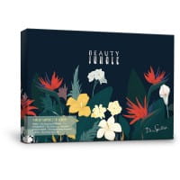 4-Wochen-Ampullen-Intensivkur von Dr. Spiller